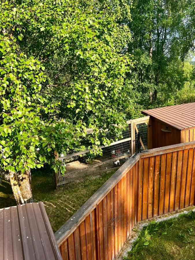 Villa Indian Ak 25 Min To Anchorage & 25 Min To Girdwood Exterior foto